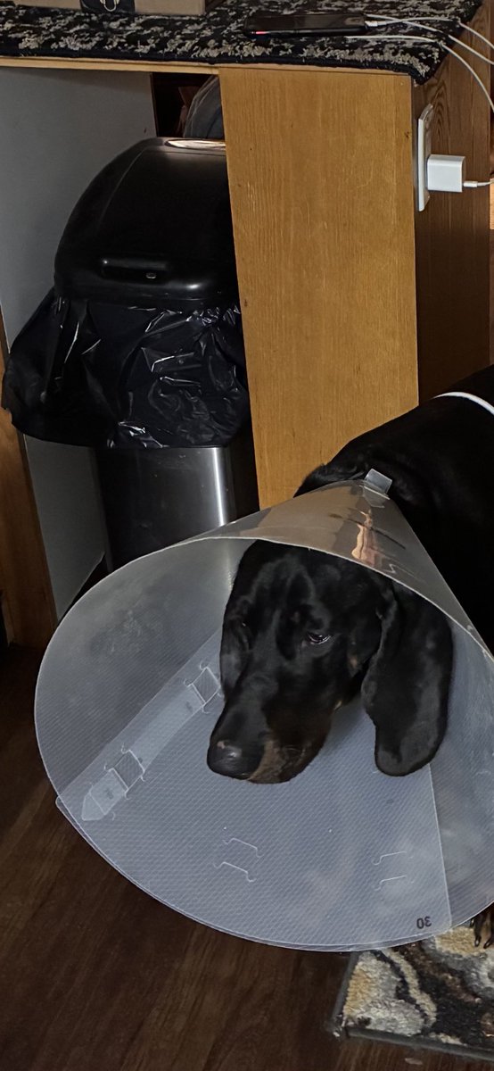 I promise it’s for the best Marina