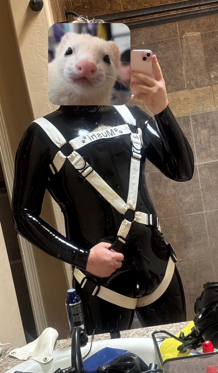 G.S.D Gooch suckin dog tweet media