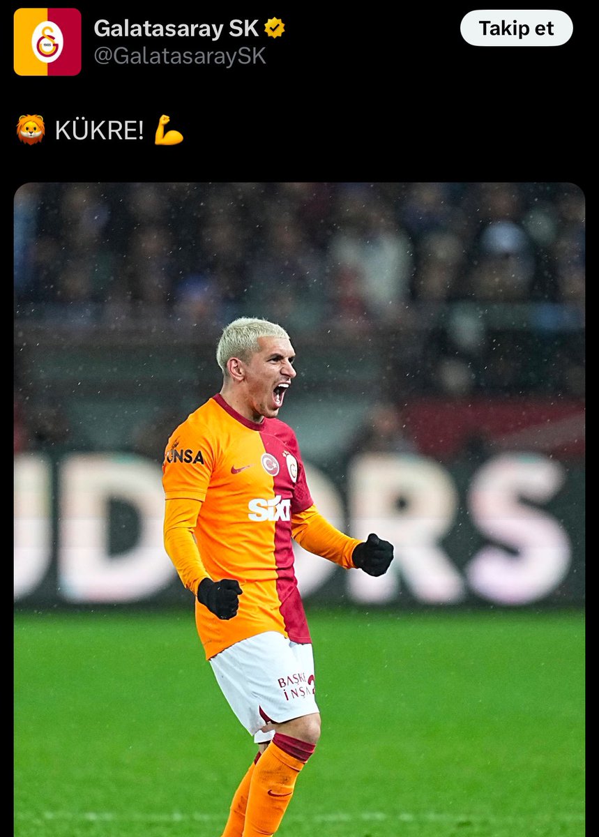 Fener Shadow tweet media