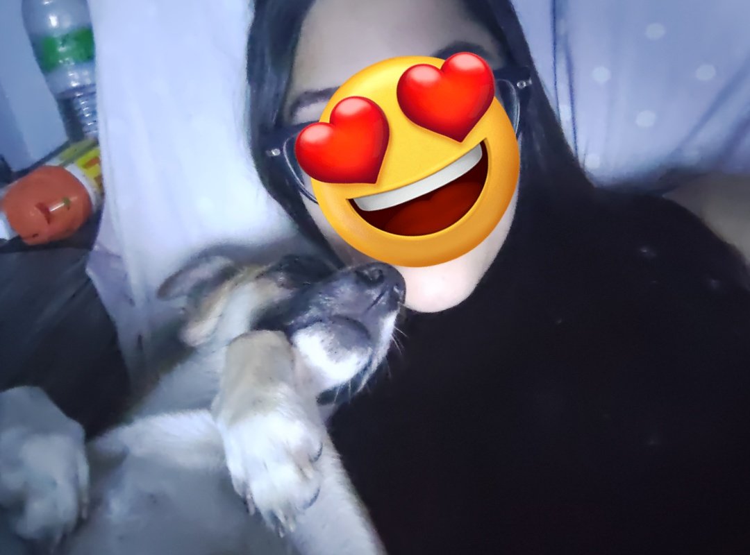 barb É FARMA USP 💊 tweet media