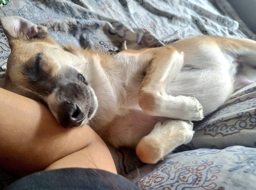 barb É FARMA USP 💊 tweet media