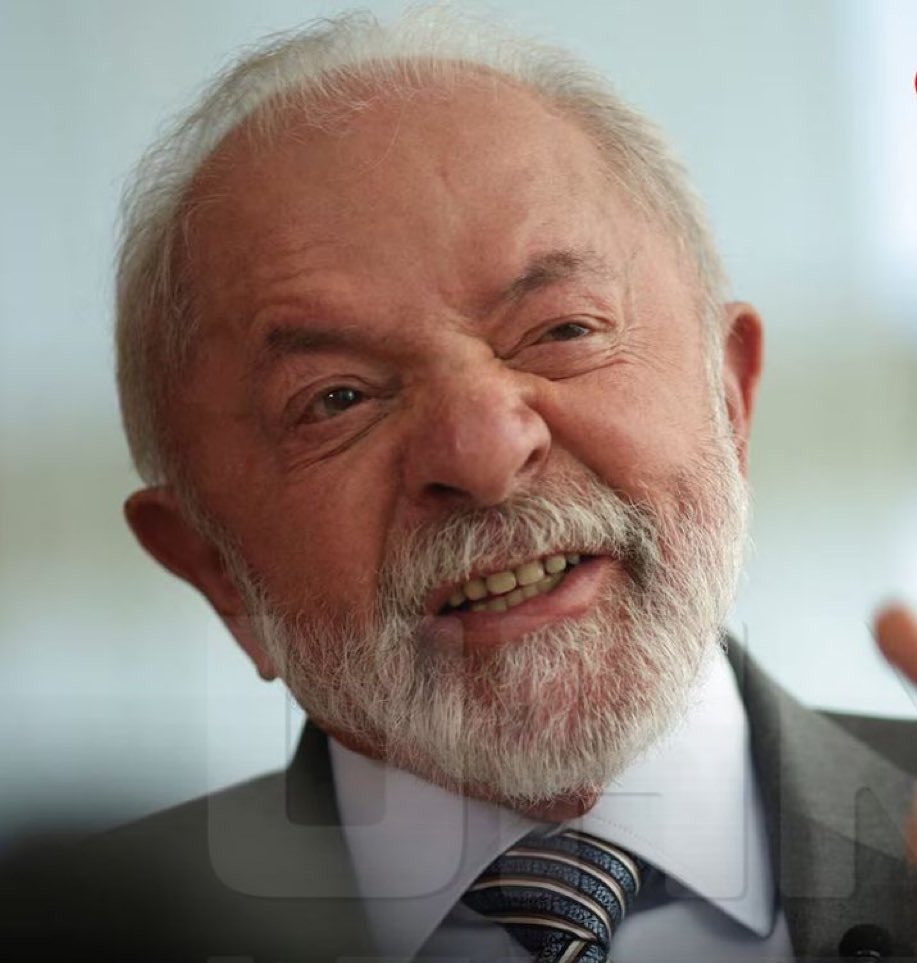 BowTiedMara tweet media