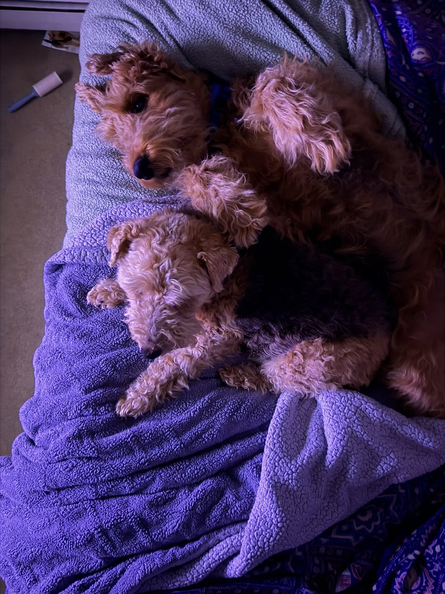 Rosemarie Mahon tweet media