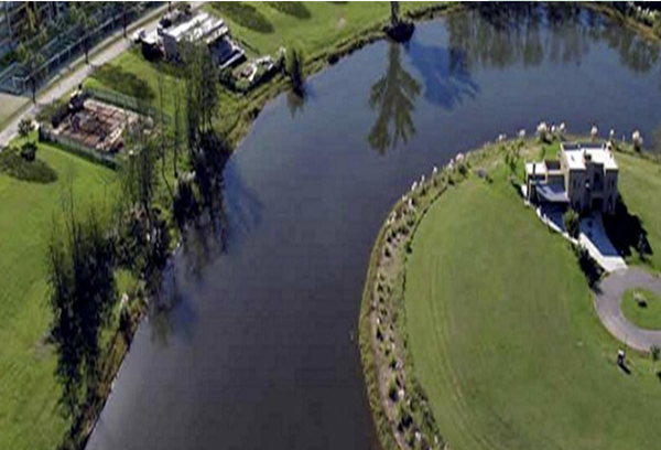 Un Dólar tweet media