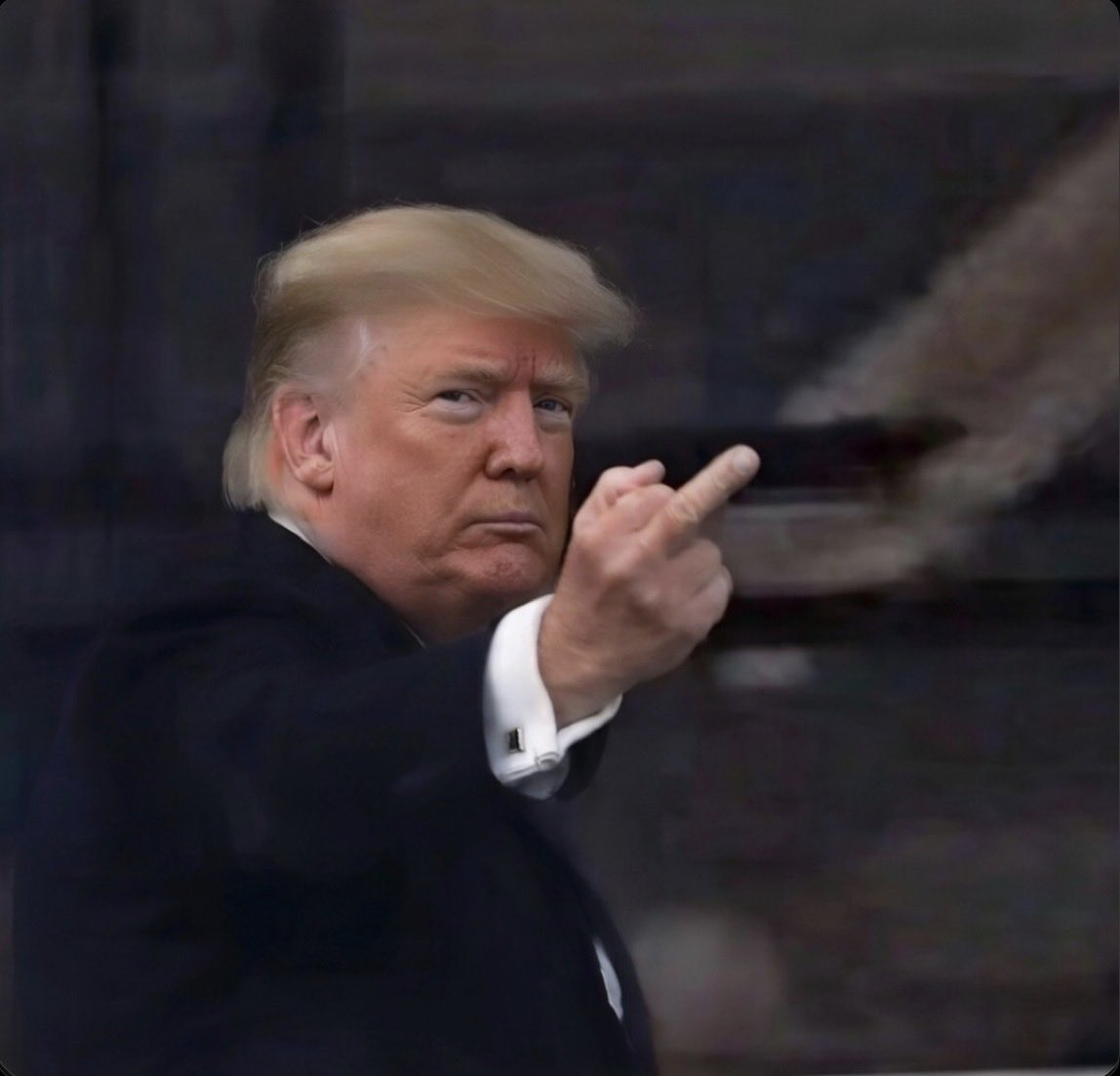 💙Blue birdy💙 tweet media