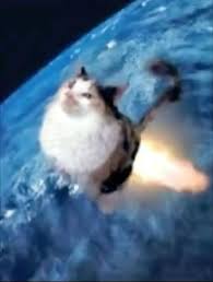 Cat Poly Space Systems
