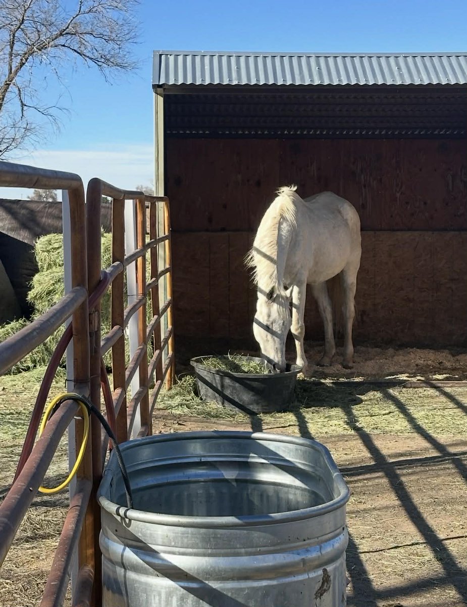 R.A.C.E. Fund, Inc. tweet media