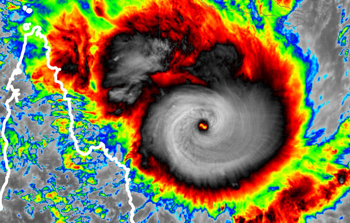 Josh Morgerman tweet media