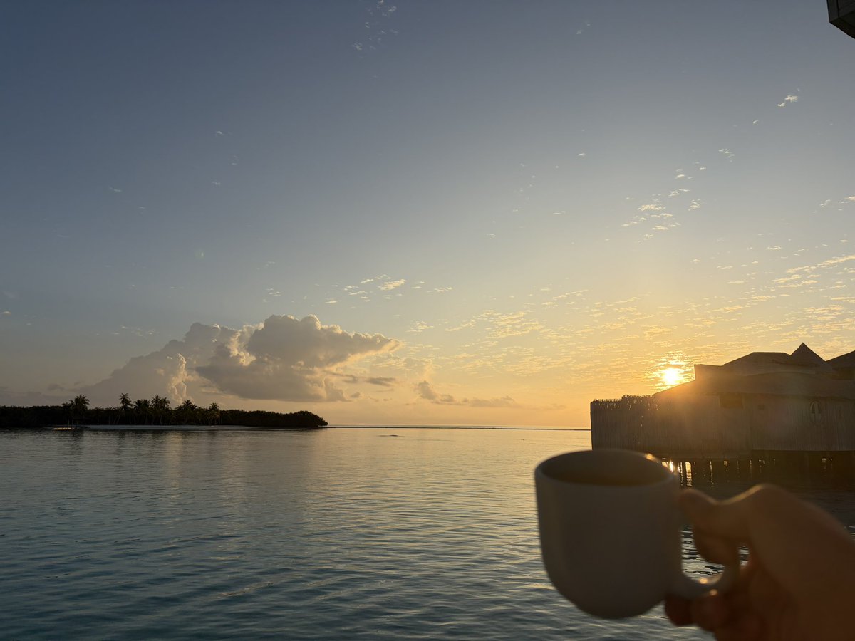 一抹微笑. tweet media