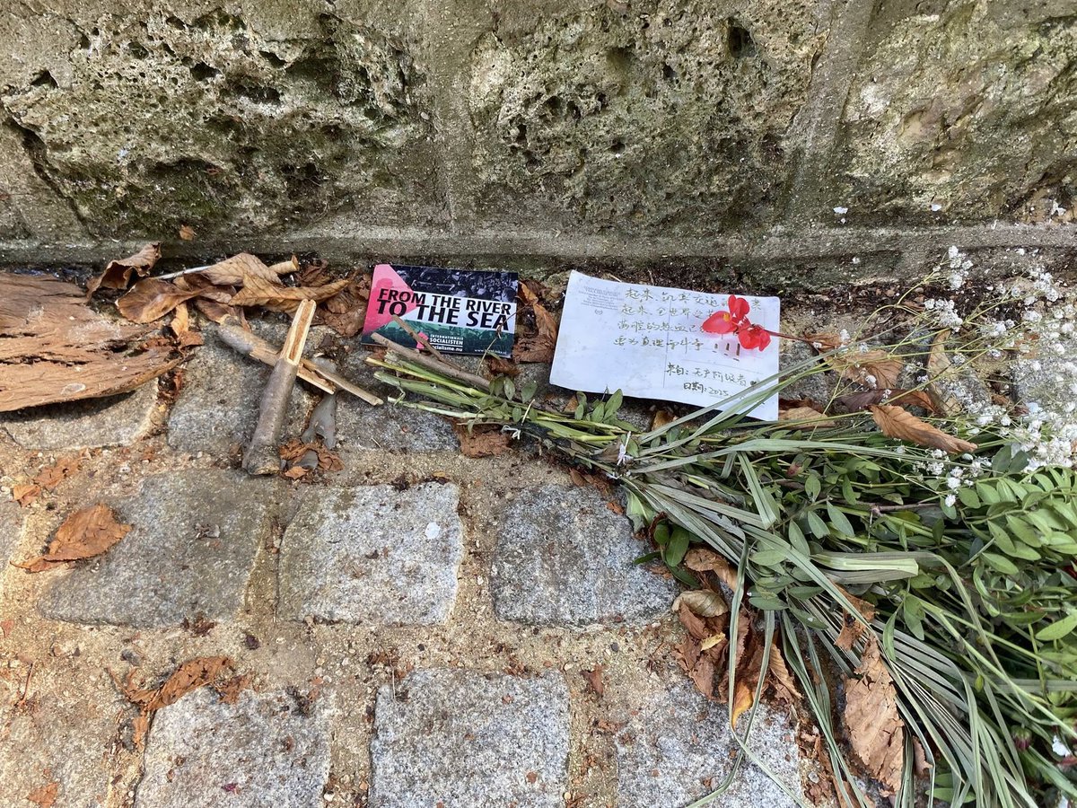 햄벨스 tweet media