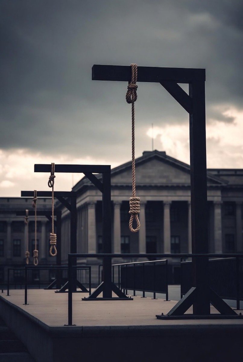 Danny deTampa 🇺🇸 tweet media