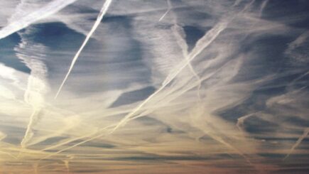 Dogs Chained And Throttled On X tweet media