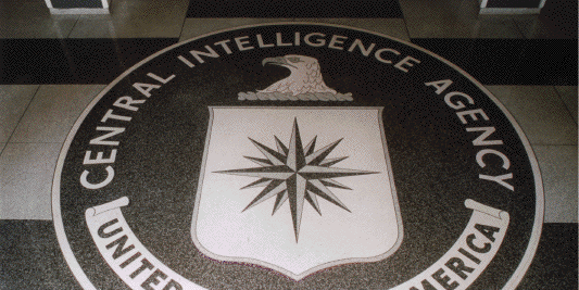 Dogs Chained And Throttled On X tweet media