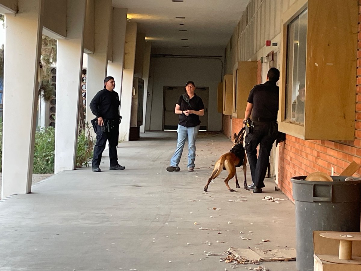 eccunionErica tweet media