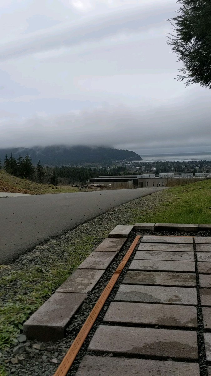 obi bogey tweet media