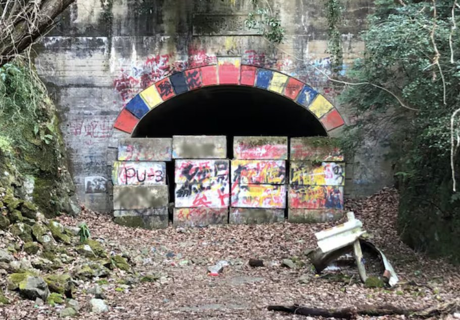 投机实验室 tweet media