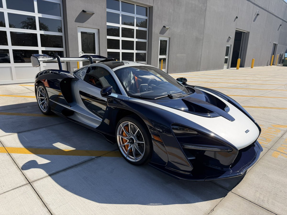 Dallas ⭐️ tweet media