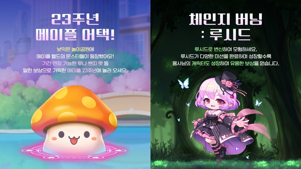 메이플스토리 tweet media