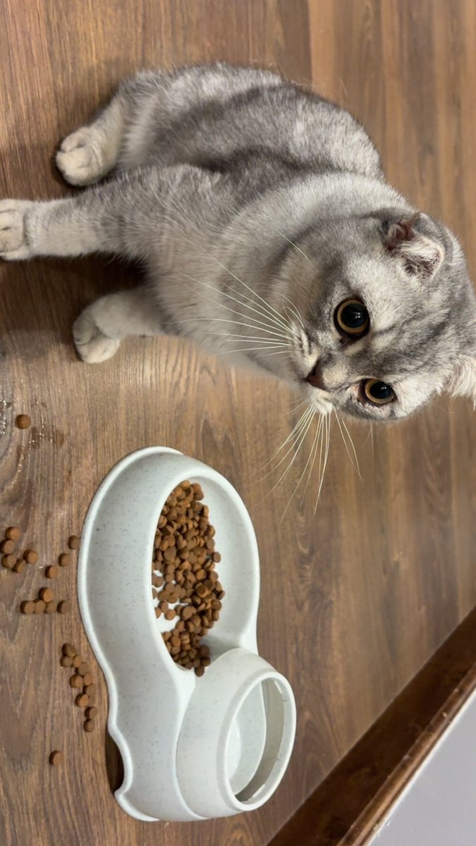 No limits-Just asymptotes tweet media