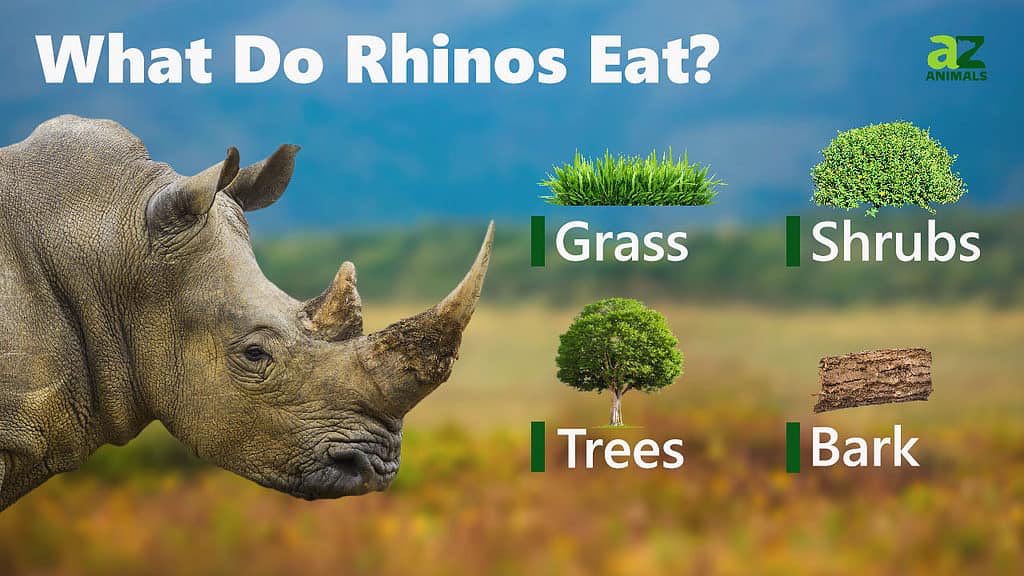 पञ्चतन्त्रम् tweet media