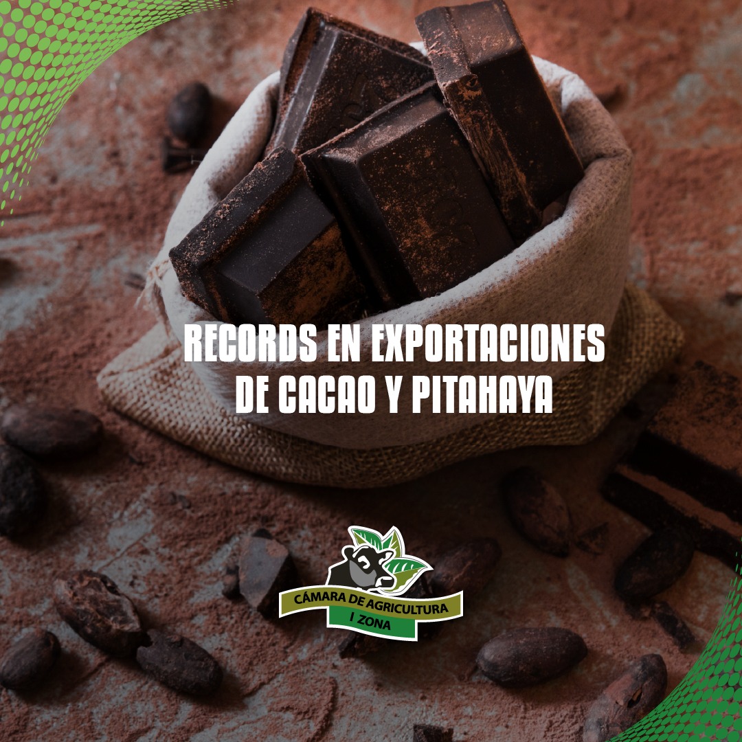 🌱📈 Agro ecuatoriano sigue creciendo

Exportaciones de cacao y pitahaya alcanzan cifras récord, consolidandose en mercados internacionales. 

Pitahaya supera USD300 millones en exportaciones y más de 60 mercados

✨ Si el agro crece, el Ecuador crece. 🇪🇨