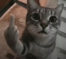 Delulu Labubu ✨ tweet media