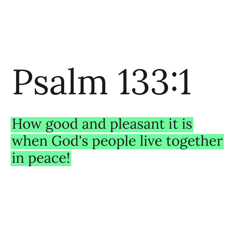 Holy Bible tweet media