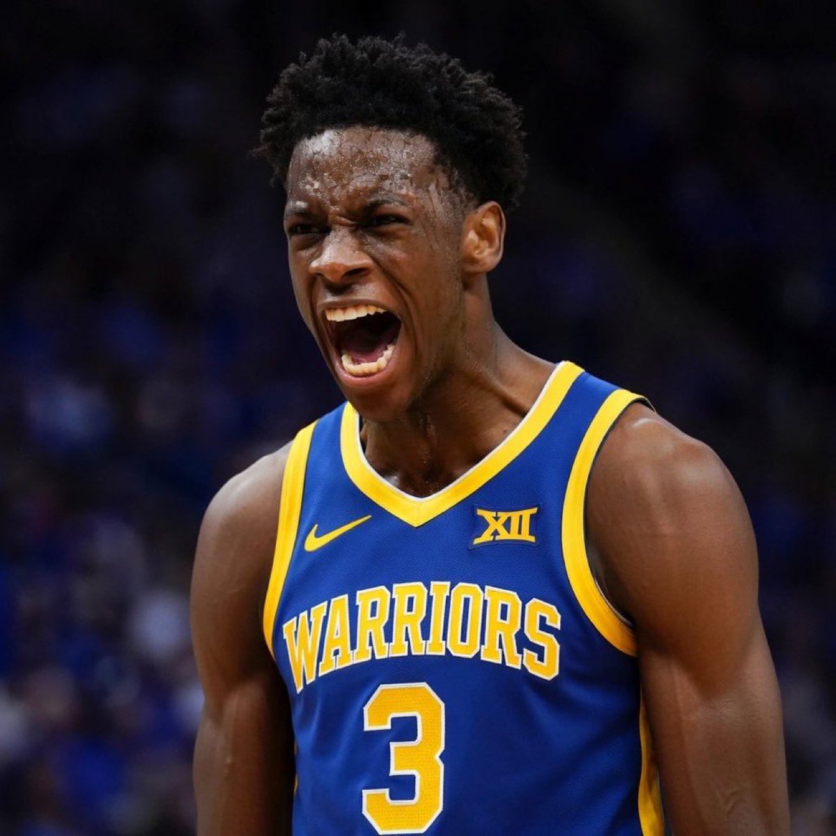 TheWarriorsHouse tweet media