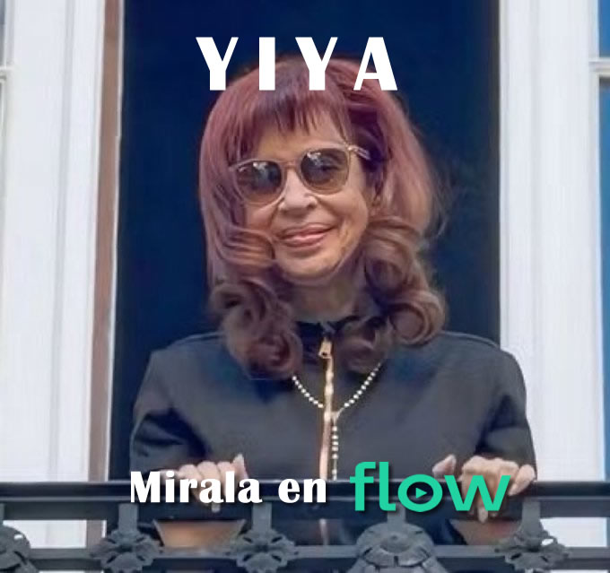 I N D I G O tweet media