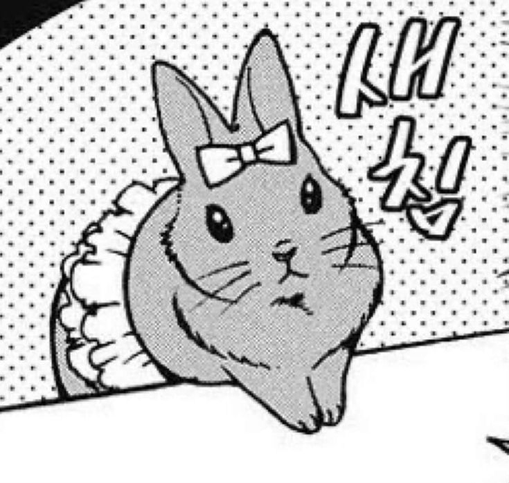 SUMI ⭐️ tweet media