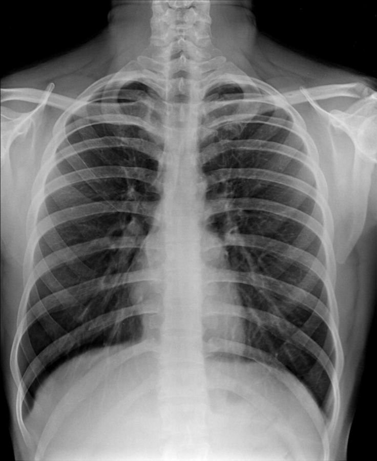 For all Curious tweet media