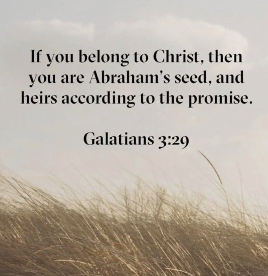 Excalibur tweet media