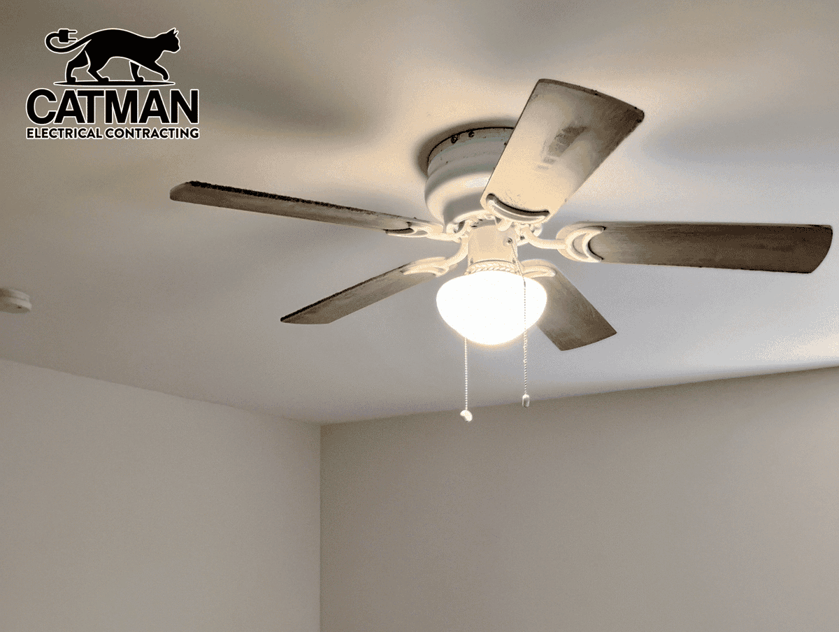 Catman Electrical Contracting tweet media