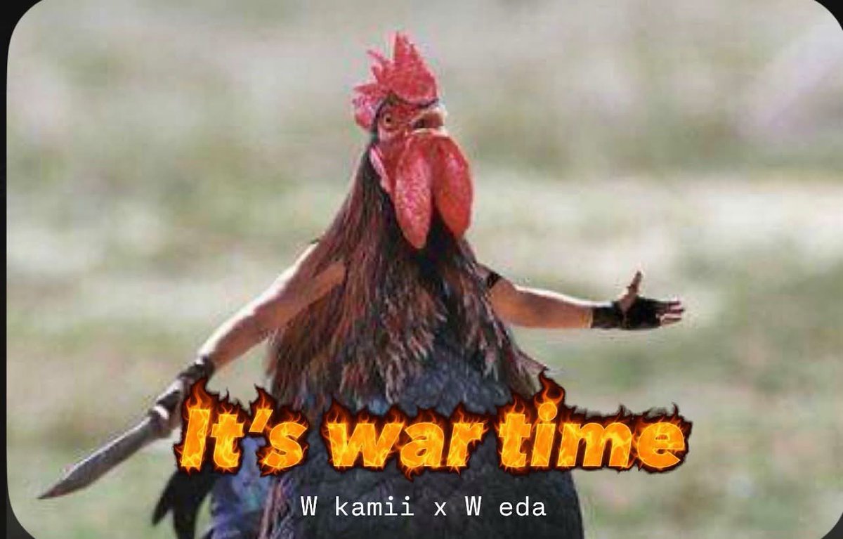 ShayanelHawk tweet media