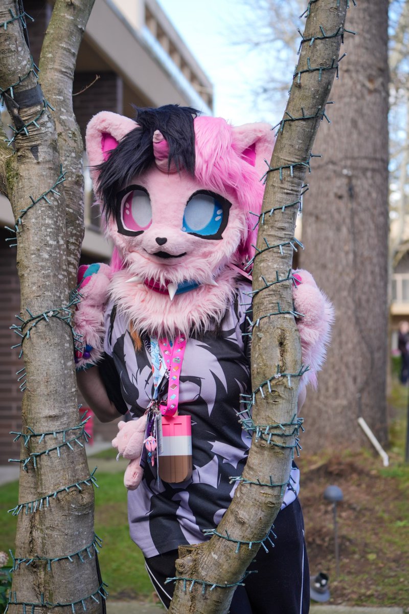 🌸 Kitty 🌸 🔜 Howloween tweet media