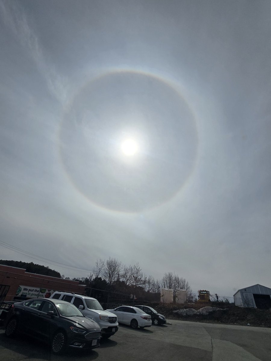 Boston Patriot 🇺🇸✌️ tweet media