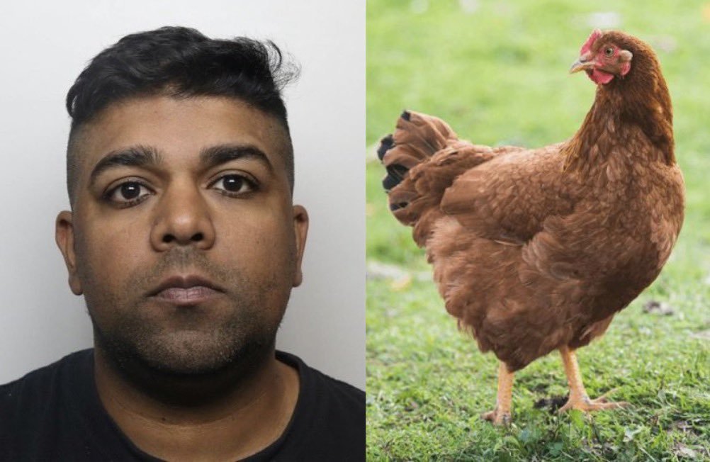 大变活人 tweet media