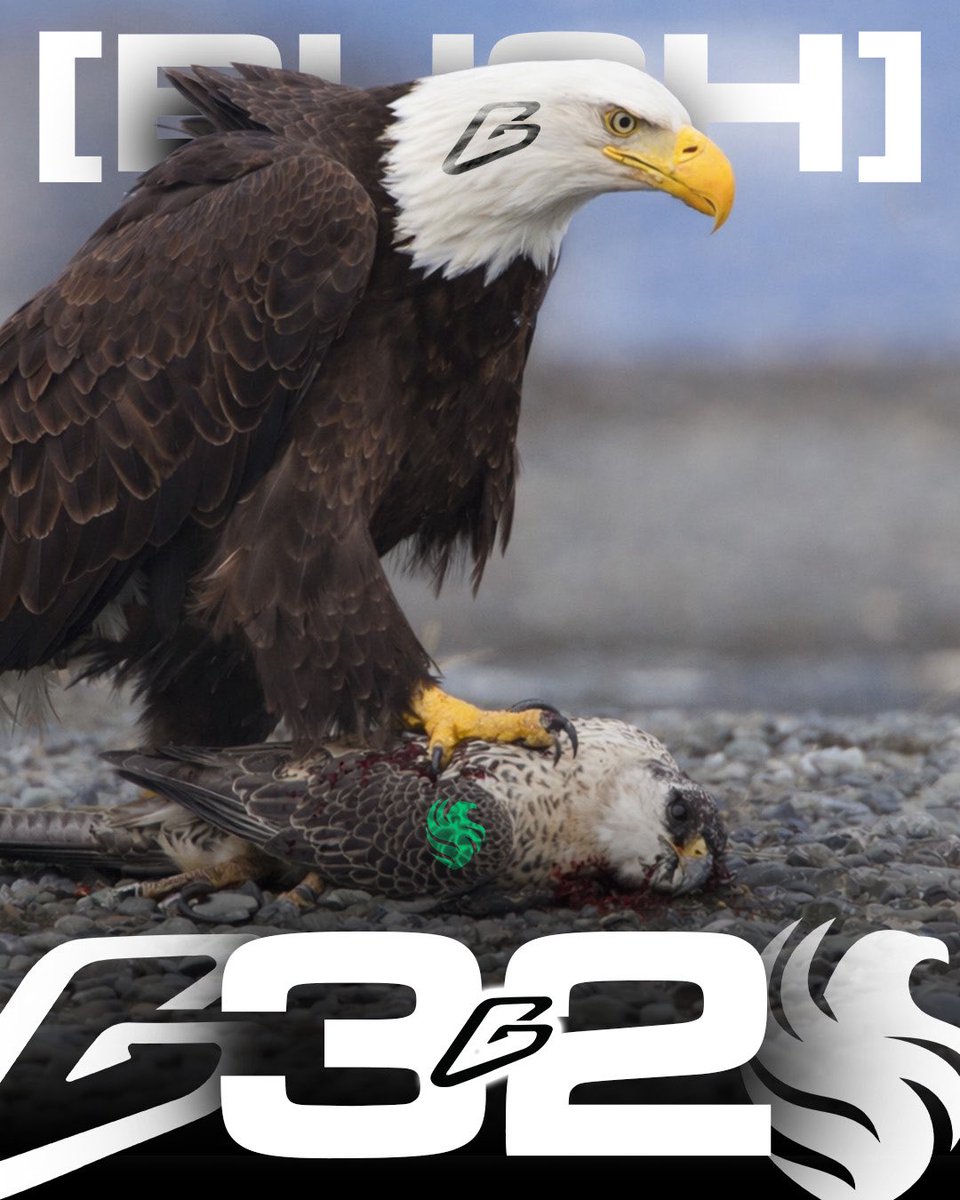 Telluride Bush Gaming tweet media