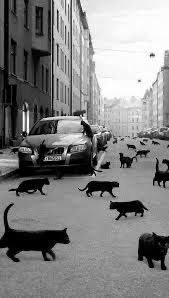 Agatha Chocolats tweet media