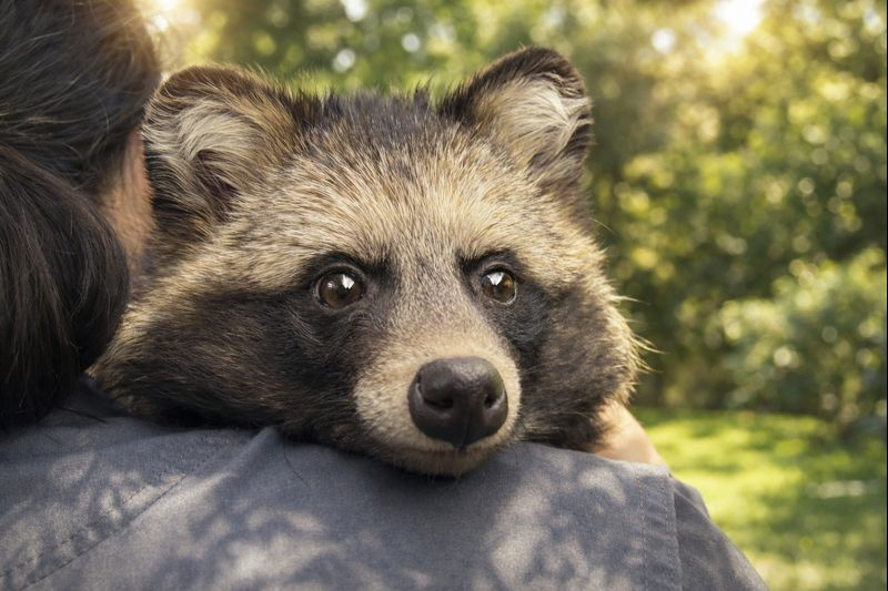 SCIENCE FACTORY ltd. tweet media