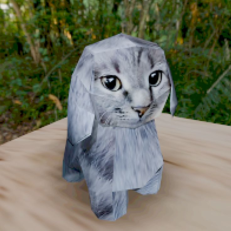 Cabbit 🐰 tweet media