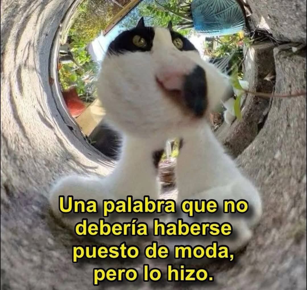 Memes Universidad Nacional tweet media