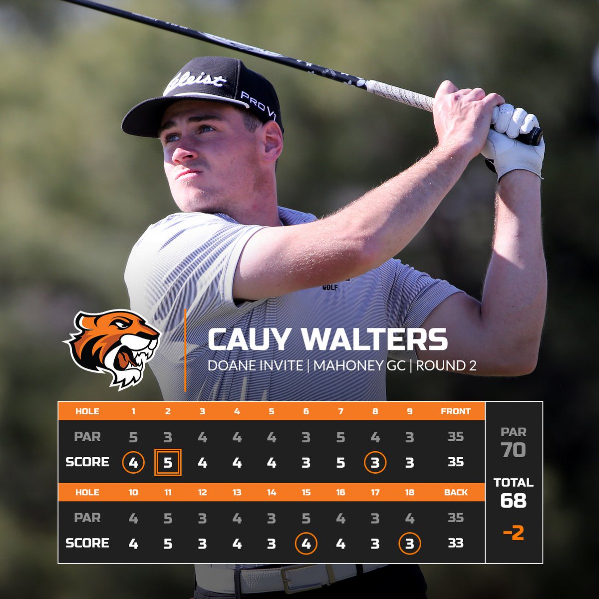 Doane Tigers 🐯 tweet media