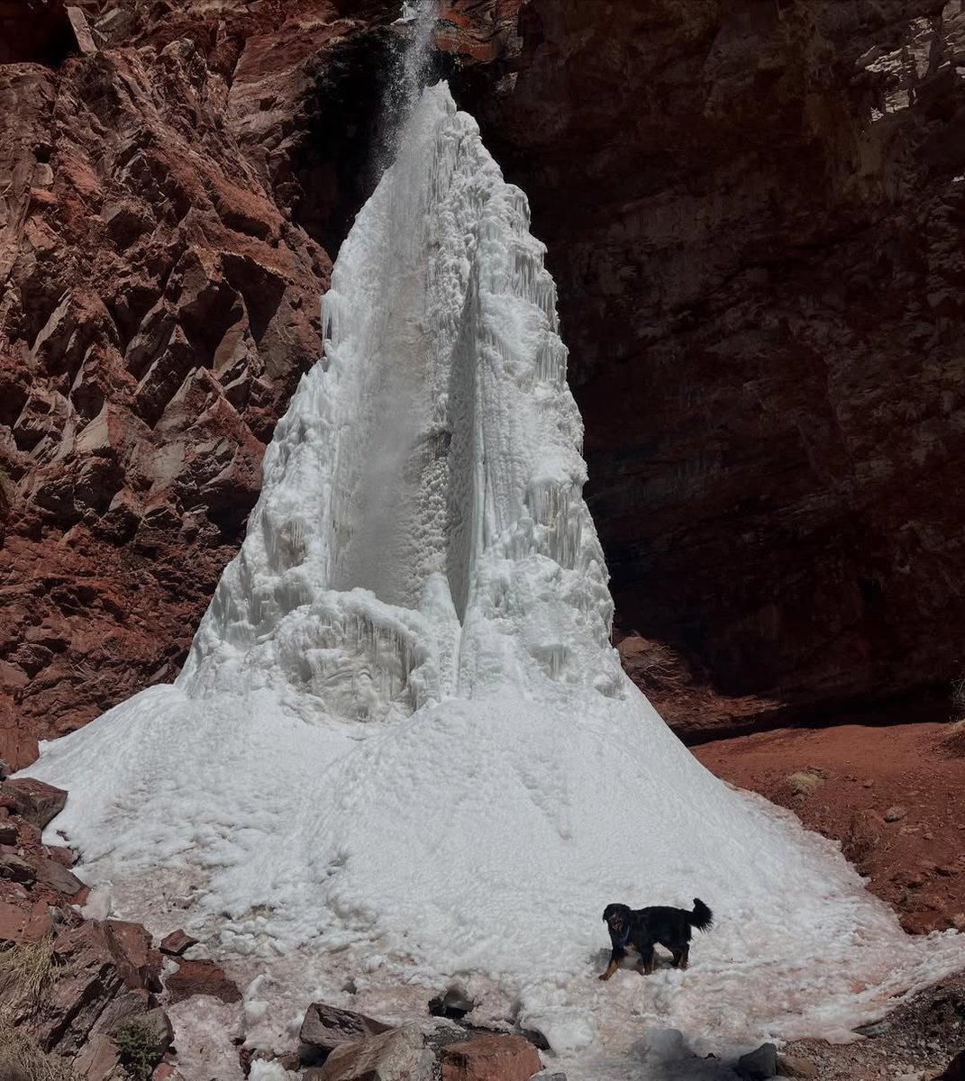 Visit Telluride tweet media