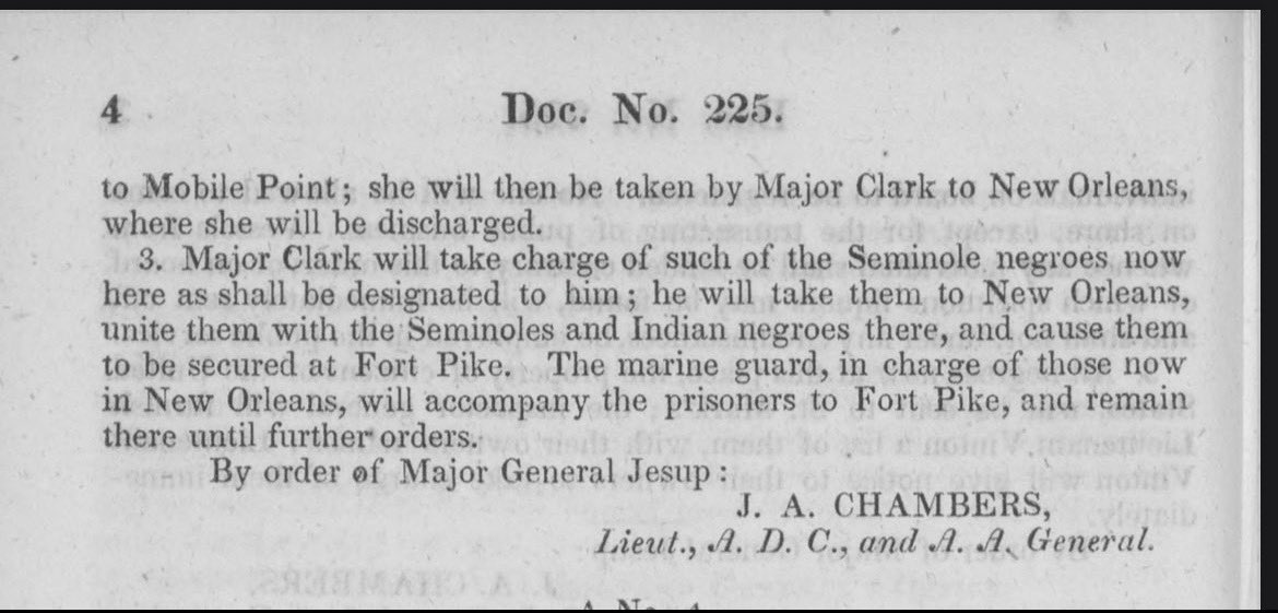 Creole Louisiana 🇺🇸 tweet media