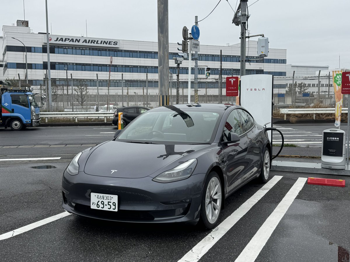 プルテウス tweet media