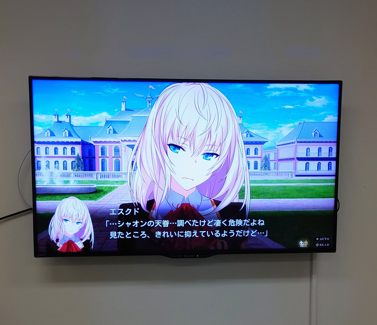 ホワクロ【公式】秋葉原White&CrossLoadカフェ🏤 tweet media