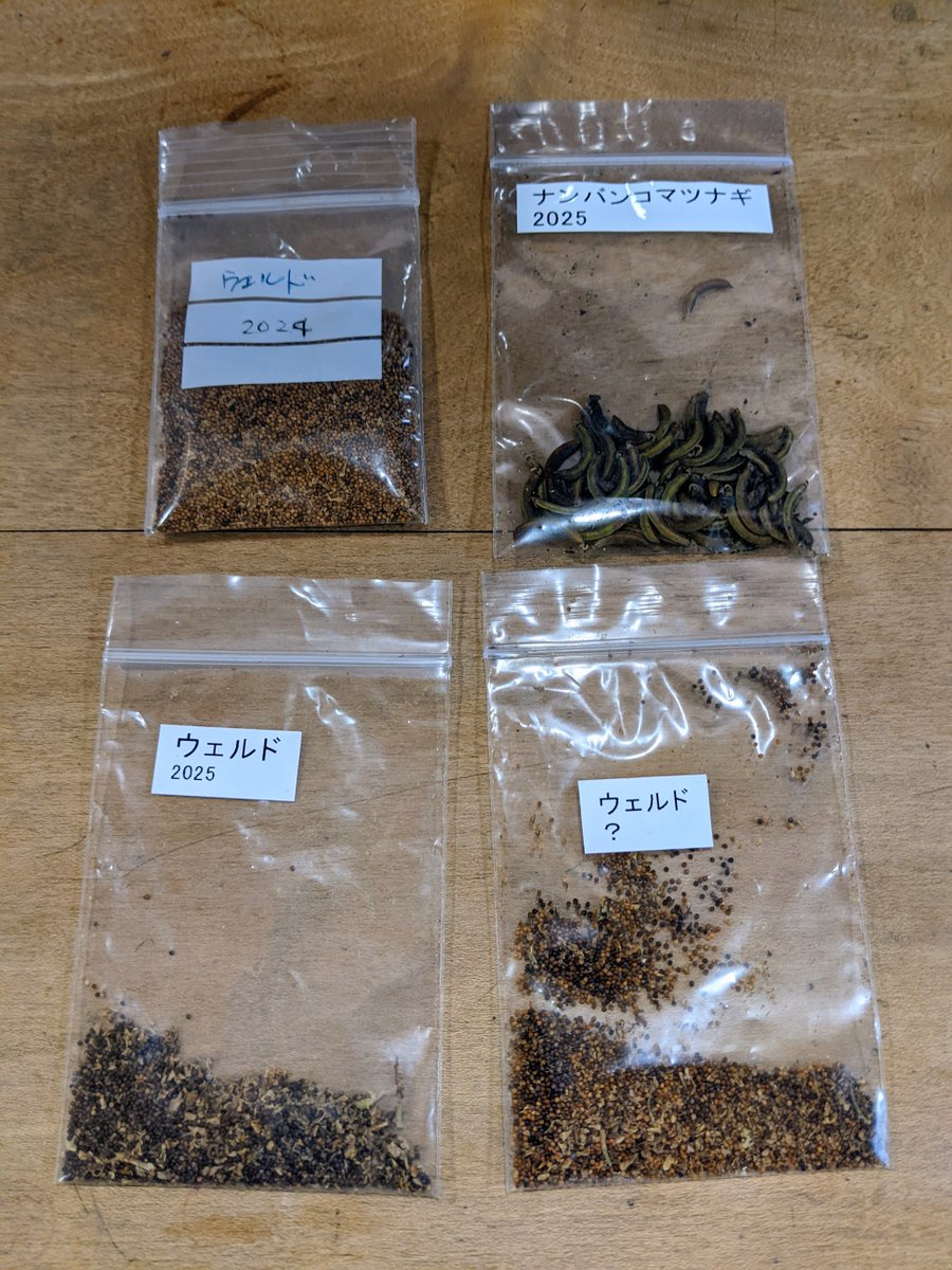 ナンバンコマツナギ、ウェルドの種/
mykw様からポットミルのパッキンと交換でナンバンコマツナギ、ウェルドの種を物々交換して頂けました。
去年は猛暑もあり、かなり苦戦しました。ありがたいです。