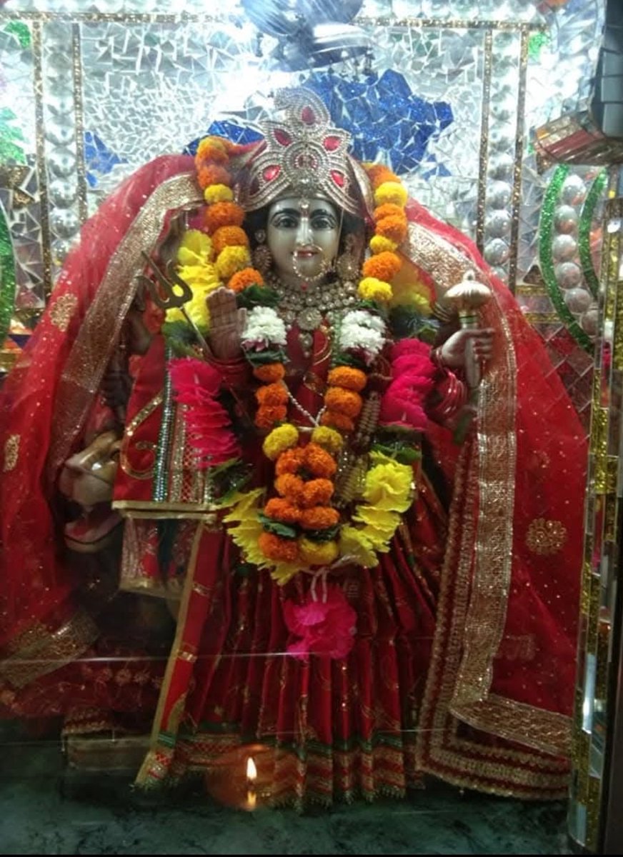 Survi Rawat tweet media