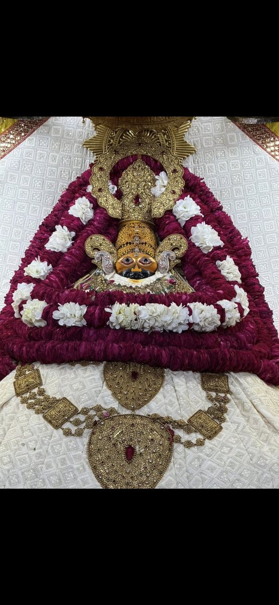 संगीता माँझु बिश्नोई tweet media